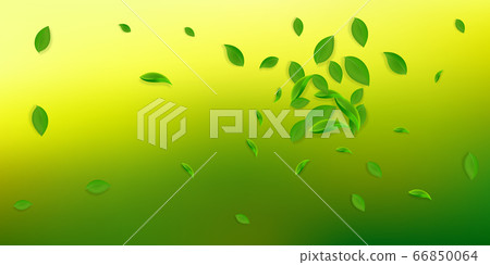 Falling green leaves. Fresh tea chaotic leaves fly Falling green leaves. Fresh tea chaotic leaves fly 66850064