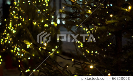 Cute little Christmas trees decorated blurry yellow luminous garlands on Christmas market stalls background Cute little Christmas trees decorated blurry yellow luminous garlands on Christmas market stalls background 66850068