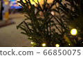 Circular movement of camera around row of Christmas trees decorated yellow luminous garlands on background of Christmas market blurry 66850075