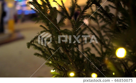 Circular movement of camera around row of Christmas trees decorated yellow luminous garlands on background of Christmas market blurry Circular movement of camera around row of Christmas trees decorated yellow luminous garlands on background of Christmas market blurry 66850075
