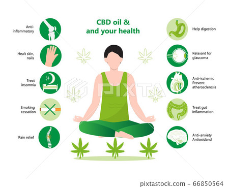 CBD oil benefits lists infographic vector. Man relaxing in lotus yoga pose. Advantages of medical marijuana, cannabinoids medicinal drugs. Joint, acne, insomnia icons are shown. 66850564