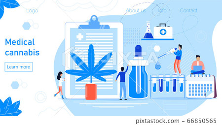 Medical cannabis concept vector. Tiny doctors show advantages of medical marijuana, cannabinoids medicinal drugs. Bottle with cbd oil. Health care homepage, template for website. Medical cannabis concept vector. Tiny doctors show advantages of medical marijuana, cannabinoids medicinal drugs. Bottle with cbd oil. Health care homepage, template for website. 66850565