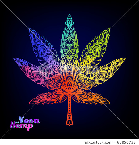 Cannabis leaf decorated with original modern pattern. Cannabis leaf decorated with original modern pattern. 66850733