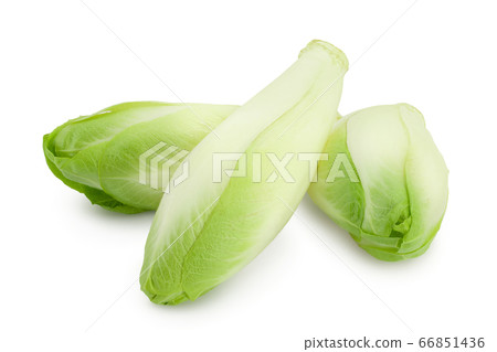 Chicory salad isolated on white background with clipping path and full depth of field. 66851436