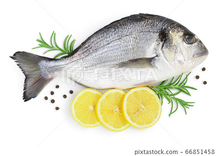 Fish dorado isolated on white background with clipping path and full depth of field. Top view. Flat lay Fish dorado isolated on white background with clipping path and full depth of field. Top view. Flat lay 66851458