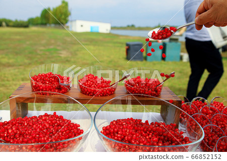 Putting red pomegranate seeds into glass bowles with spoon 66852152