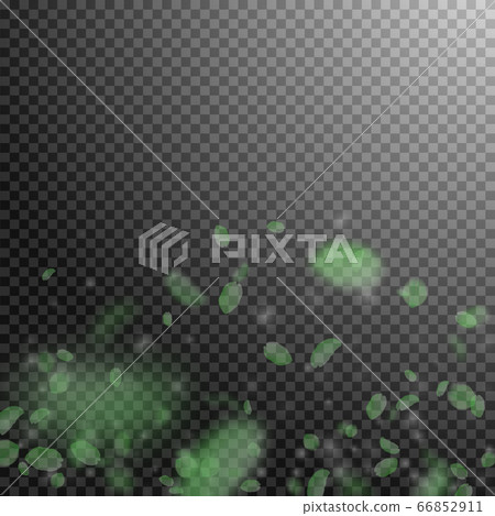 Green flower petals falling down. Exotic romantic  66852911