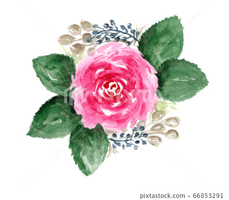 Watercolor bright pink rose floral arrangement Watercolor bright pink rose floral arrangement 66853291