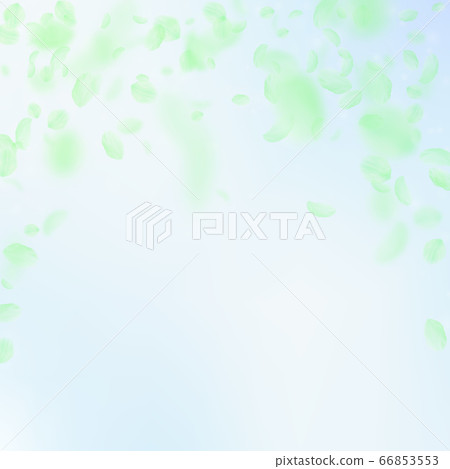 Green flower petals falling down. Wondrous romanti 66853553