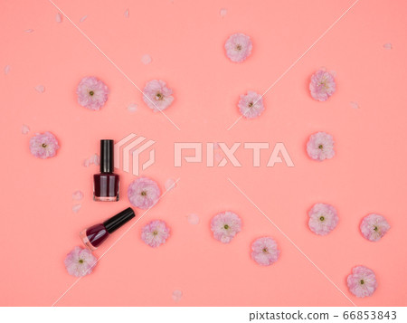 Pink cherry blossoms and nail polishes on pink background. 66853843