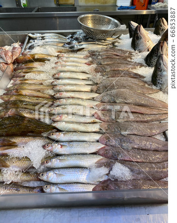 Vertical photo of frozen fish on ice at seafood market 66853887