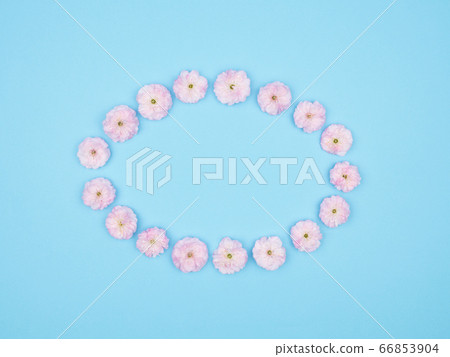 Frame of spring flowers. Almonds on a blue background. 66853904