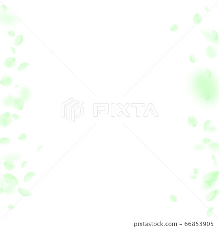 Green flower petals falling down. Majestic romanti 66853905