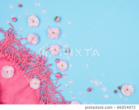 Pink tippet and delicate flowers. Blue background. 66854072