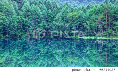 Deep green shooting pond 66854087