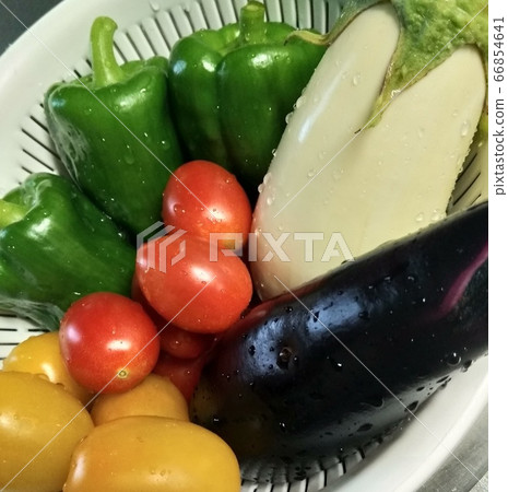 夏季蔬菜 夏季蔬菜 66854641