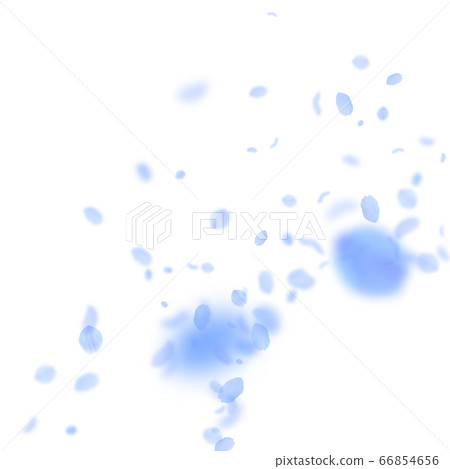 Dark blue flower petals falling down. Divine roman 66854656