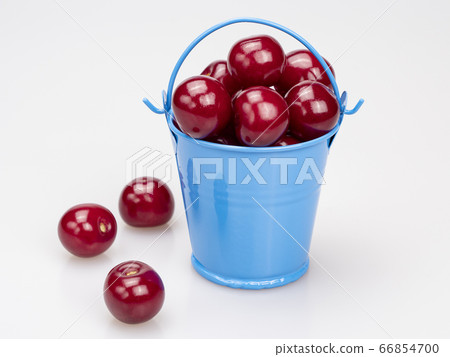Ripe cherries in a blue miniature bucket and scattered near it 66854700