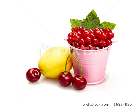Ripe red currants with green leaves in a pink bucket on a white background. Near apricot and cherries. Ripe red currants with green leaves in a pink bucket on a white background. Near apricot and cherries. 66854959