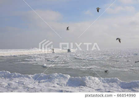 The Black Sea in winter on a clear frosty day, icebound The Black Sea in winter on a clear frosty day, icebound 66854990