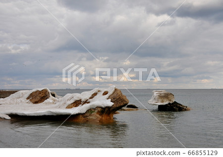 Coastal stones in the Black Sea peep out from under the growths of melting snow and ice. 66855129