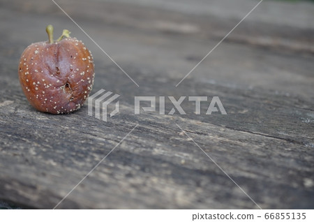 A spoiled forgotten apple lies on a gray wooden background 66855135