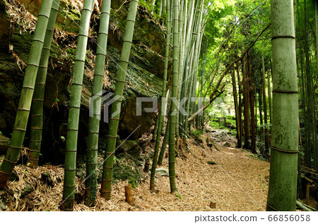 Kumano Kodo Fujikakusaka 66856058