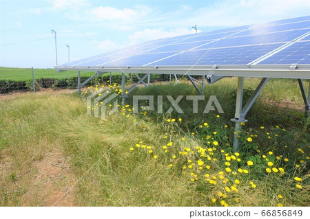 雜草叢生的太陽能發電廠 雜草叢生的太陽能發電廠 66856849