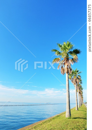 千葉縣藍天千葉縣 66857375