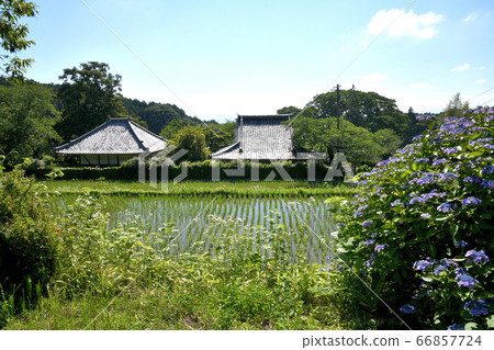Kotenji Bridge Honin 66857724