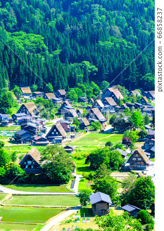 初夏白川鄉(白天) 初夏白川鄉(白天) 66858237