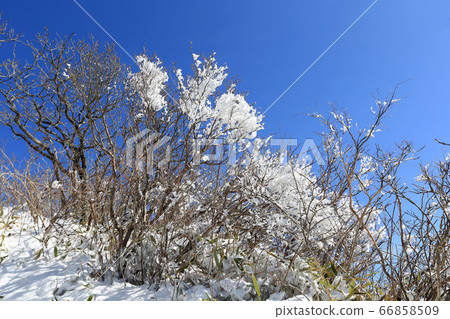 韓國慶尚南道巨昌郡釜山面南德遺產西風哈密峰 66858509