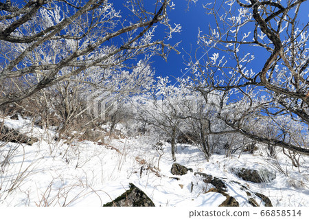 韓國慶尚南道巨昌郡釜山面南德遺產西風哈密峰 韓國慶尚南道巨昌郡釜山面南德遺產西風哈密峰 66858514