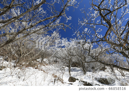 韓國慶尚南道巨昌郡釜山面南德遺產西風哈密峰 66858516