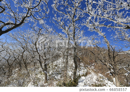 韓國慶尚南道巨昌郡釜山面南德遺產西風哈密峰 66858557
