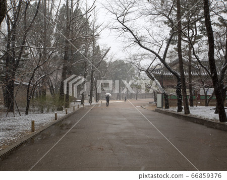韓國首爾特別市鐘路區德壽宮景福宮冬季 韓國首爾特別市鐘路區德壽宮景福宮冬季 66859376
