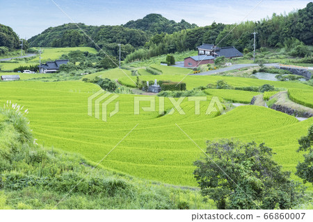 Summer landscape, beautiful terraced rice fields overlooking the sea, Aburaya, Nagato City, Yamaguchi Prefecture Summer landscape, beautiful terraced rice fields overlooking the sea, Aburaya, Nagato City, Yamaguchi Prefecture 66860007