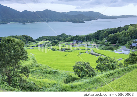 夏日風景，山口縣長門市阿布拉亞，俯瞰大海的美麗梯田 66860008