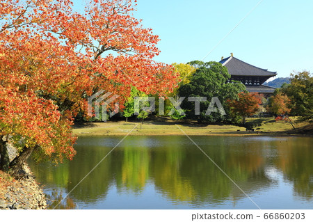 奈良公園，東大寺專區，秋葉和大Dai池 66860203