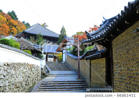 Autumn Todaiji Nigetsudo Urasando and earthen wall 66861431