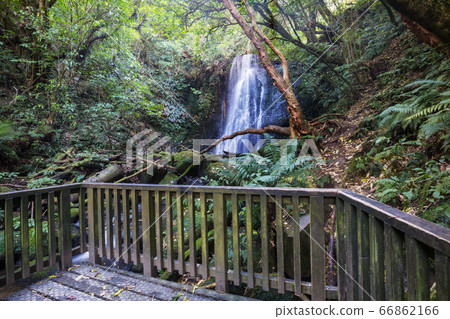 New Zealand waterfall New Zealand waterfall 66862166