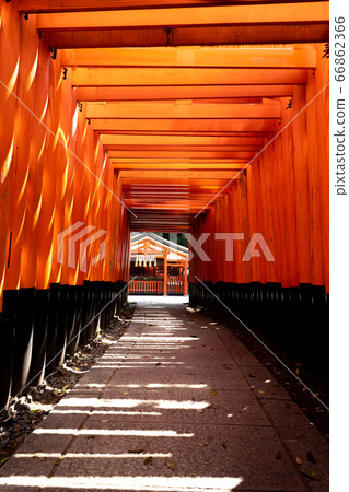 Fushimi-Inari Taisha Shrine Torii Torii 66862366