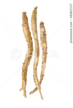 Hama Wind Wind Root 66862537