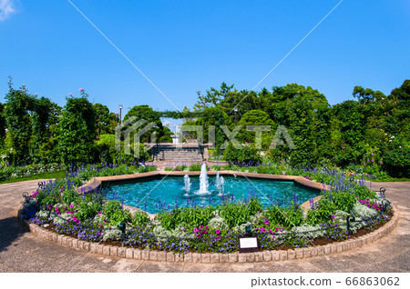 Yokohama city, Kanagawa prefecture, scented garden of hillside park 66863062