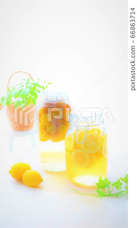 檸檬水和李子糖漿 檸檬水和李子糖漿 66863714