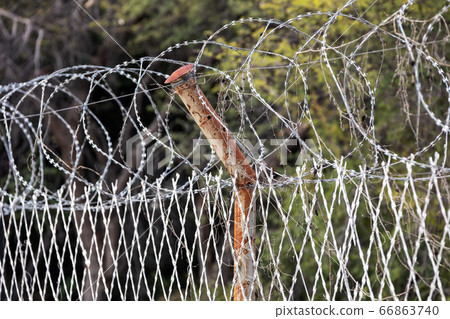 Restricted Area Barbed Fence, security concept Restricted Area Barbed Fence, security concept 66863740