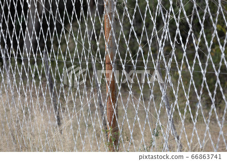 Restricted Area Barbed Fence, security concept Restricted Area Barbed Fence, security concept 66863741