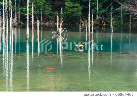 Autumn quiet pond and trees Autumn quiet pond and trees 66864405