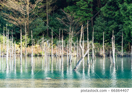 Autumn quiet pond and trees Autumn quiet pond and trees 66864407