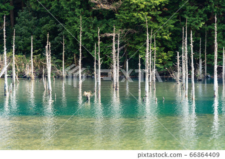 Autumn quiet pond and trees Autumn quiet pond and trees 66864409